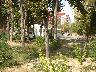 Lot-Burgas-Sunny_Beach-2420m2